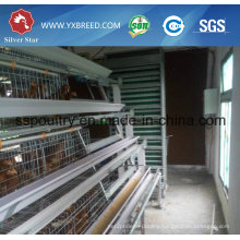 Silver Star a Type of Automatic Chicken Cage